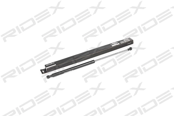 Gas Spring, boot/cargo area (219G0074)