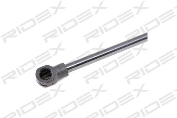 Gas Spring, boot/cargo area (219G0478)