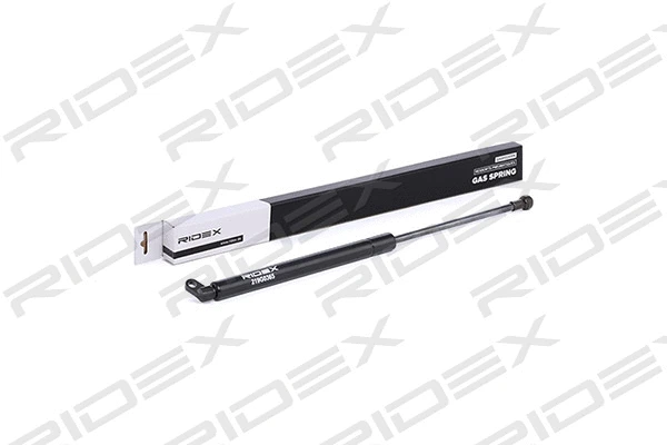 Gas Spring, boot/cargo area