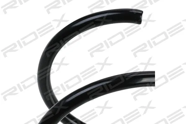 Suspension Spring (188C0344)