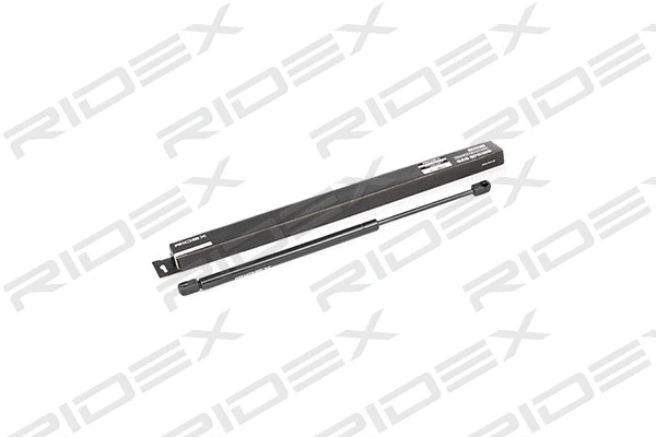 Gas Spring, boot/cargo area (219G0102)