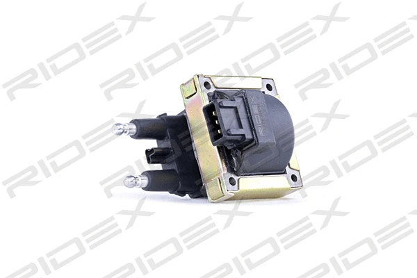 Ignition Coil (689C0120)