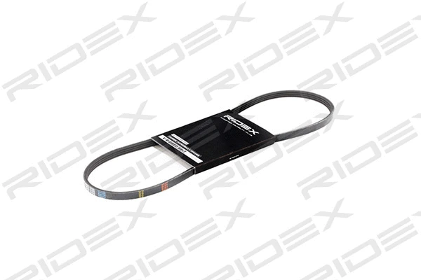 V-Ribbed Belt (305P0020)