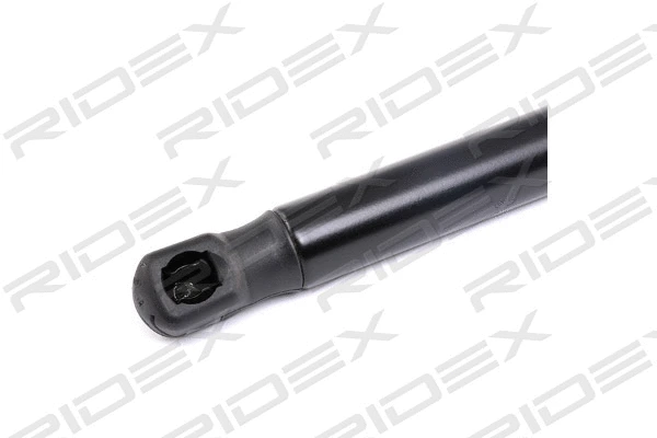 Gas Spring, boot/cargo area (219G0423)