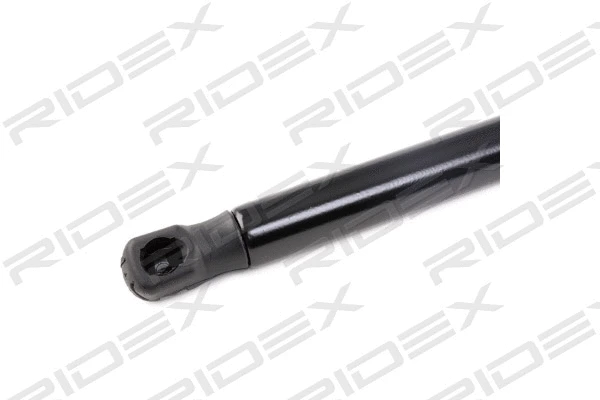 Gas Spring, boot/cargo area (219G0715)