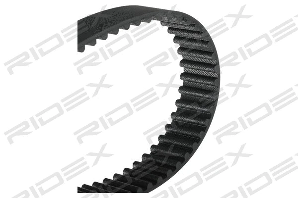 Timing Belt