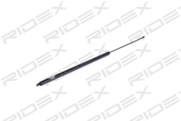 Gas Spring, boot/cargo area (219G0581)