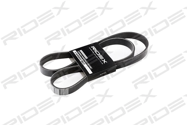 V-Ribbed Belt (305P0114)