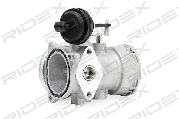 EGR Valve