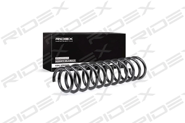 Suspension Spring (188C0123)