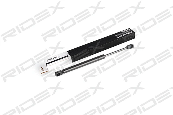Gas Spring, boot/cargo area (219G0217)
