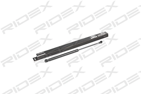 Gas Spring, boot/cargo area (219G0612)