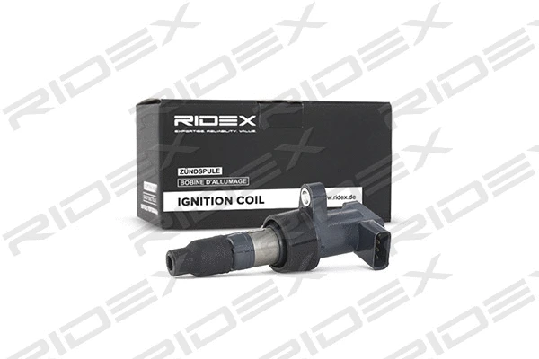 Ignition Coil (689C0055)