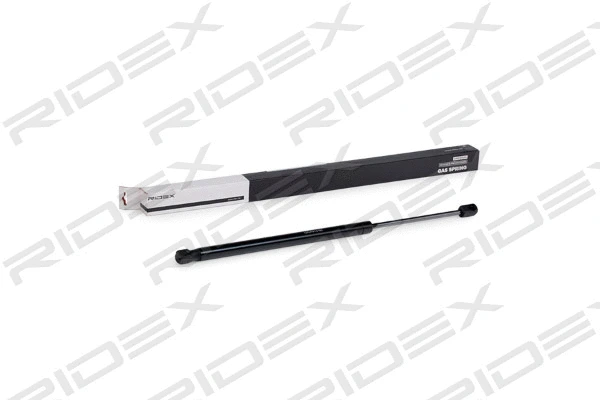 Gas Spring, boot/cargo area