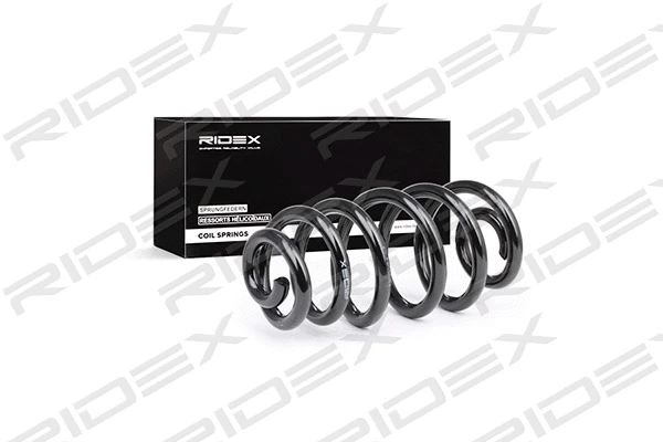 Suspension Spring (188C0210)