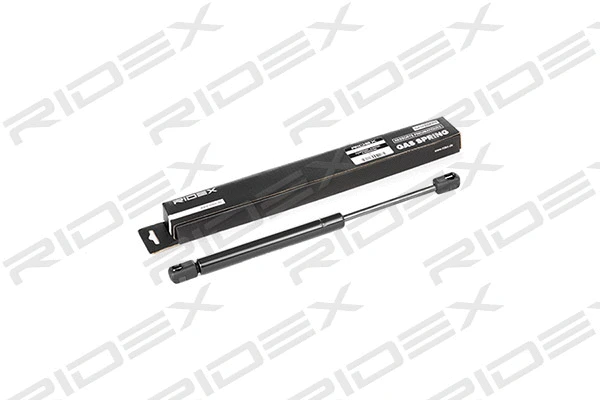 Gas Spring, rear window (219G0510)