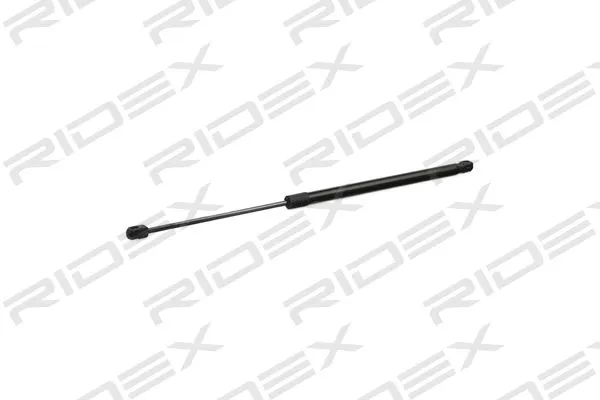 Gas Spring, boot/cargo area (219G0316)