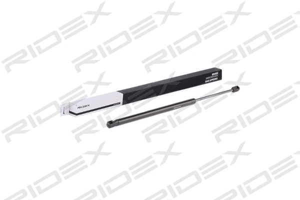 Gas Spring, boot/cargo area