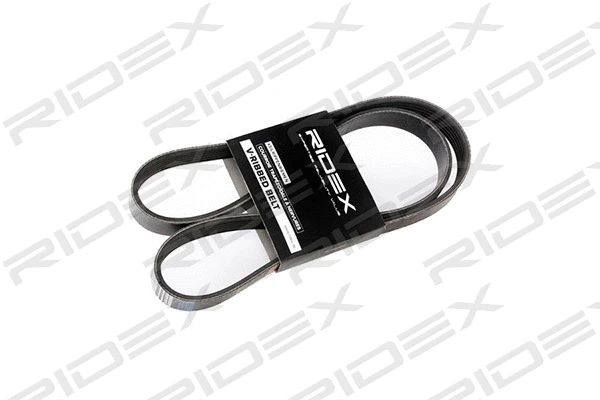 V-Ribbed Belt (305P0060)