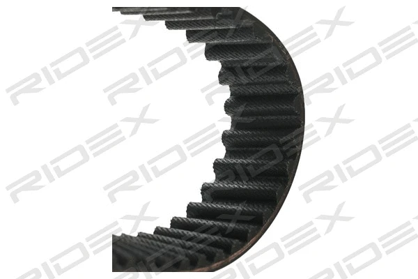 Timing Belt