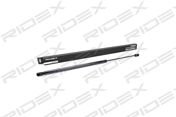 Gas Spring, boot/cargo area (219G0009)
