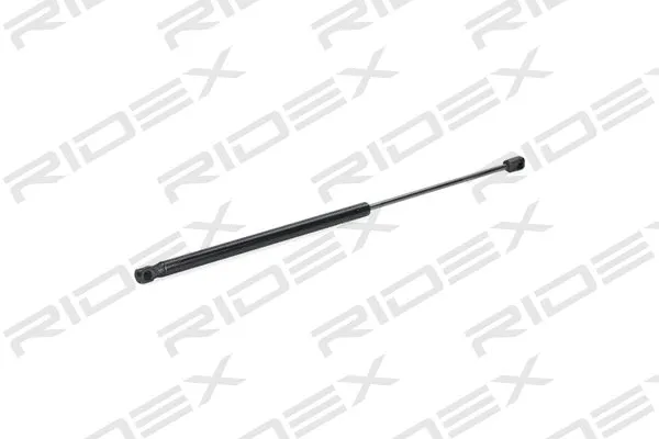 Gas Spring, boot/cargo area (219G0929)