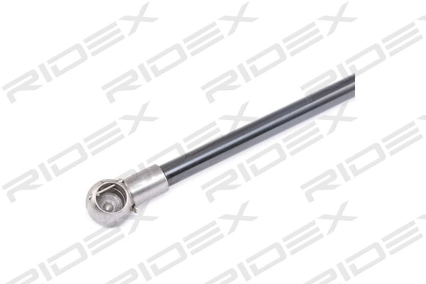 Gas Spring, boot/cargo area (219G0699)