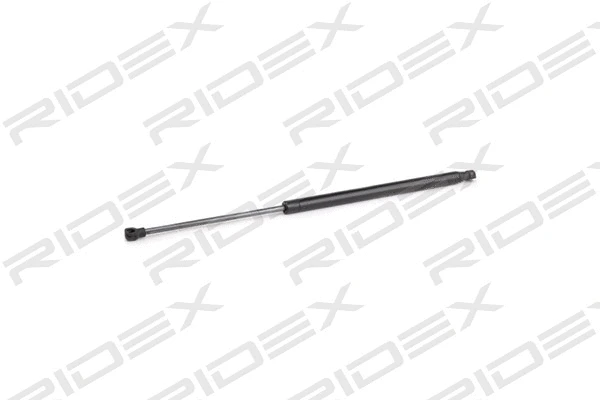 Gas Spring, boot/cargo area (219G0757)