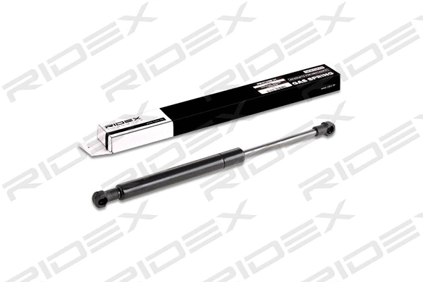 Gas Spring, boot/cargo area (219G0255)