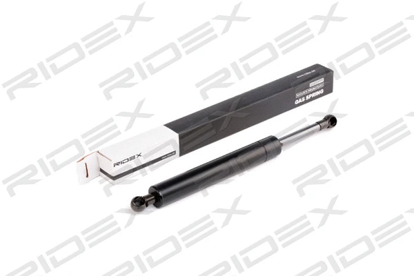 Gas Spring, boot/cargo area