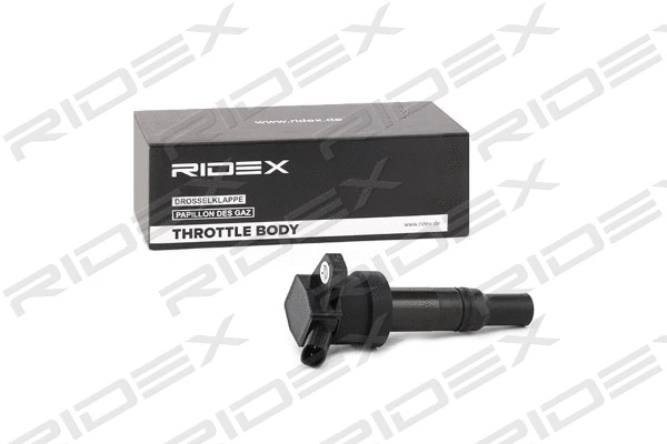 Ignition Coil (689C0332)
