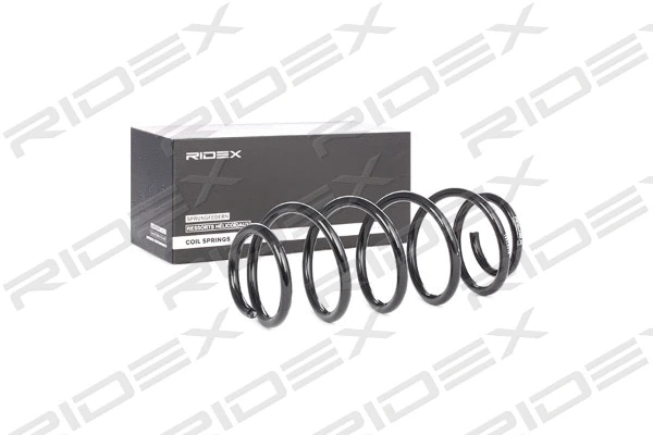 Suspension Spring (188C0316)