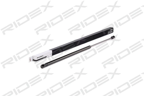 Gas Spring, boot/cargo area (219G0711)