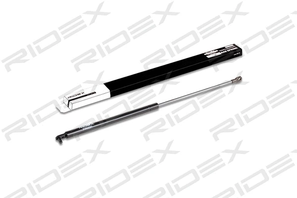 Gas Spring, boot/cargo area (219G0201)