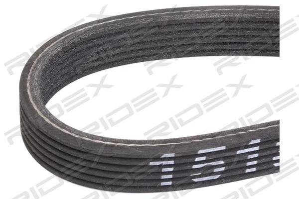 V-Ribbed Belt (305P0372)