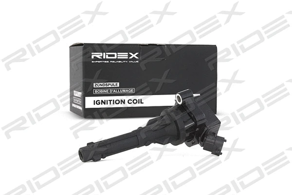 Ignition Coil (689C0153)