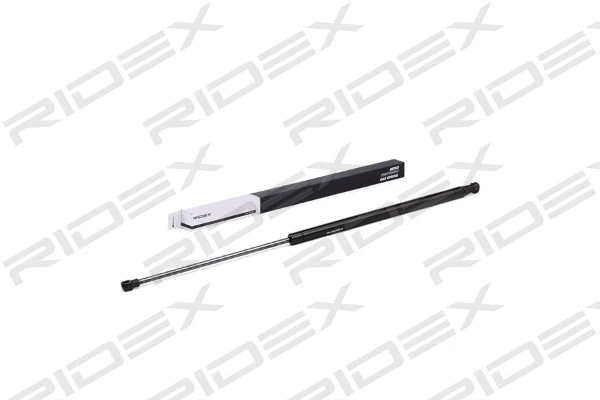 Gas Spring, boot/cargo area