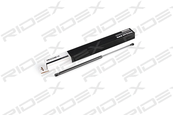 Gas Spring, boot/cargo area (219G0392)