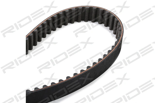 Timing Belt Kit (307T0131)