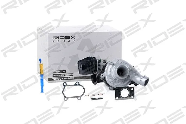 Charger, charging (supercharged/turbocharged) (2234C10100R)