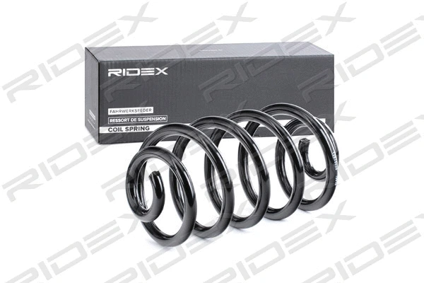 Suspension Spring (188C0610)