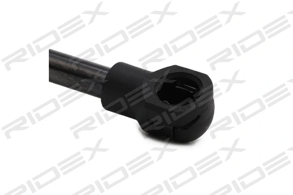 Gas Spring, boot/cargo area (219G0843)