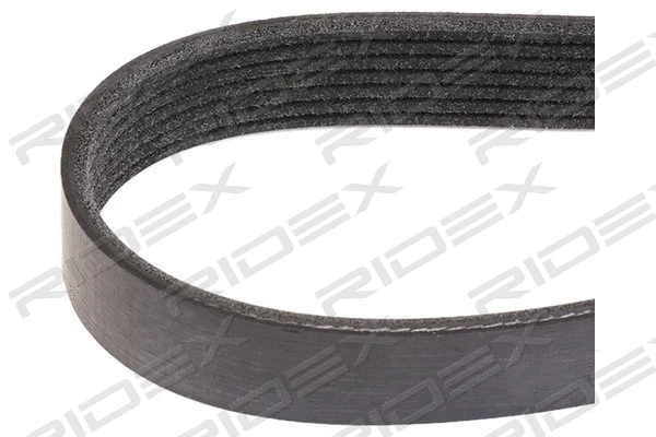 V-Ribbed Belt (305P0383)