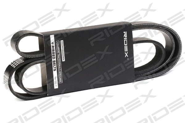 V-Ribbed Belt (305P0323)