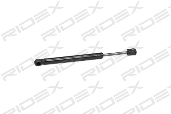 Gas Spring, boot/cargo area (219G0199)