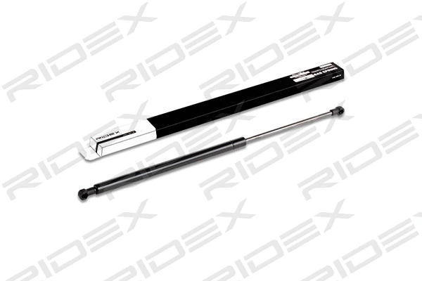 Gas Spring, boot/cargo area (219G0060)