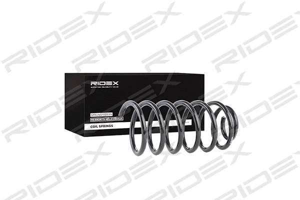 Suspension Spring (188C0219)