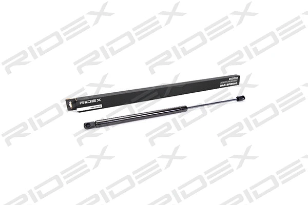 Gas Spring, boot/cargo area (219G0048)