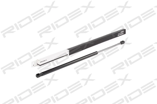 Gas Spring, boot/cargo area