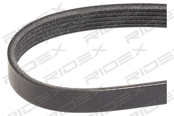 V-Ribbed Belt (305P0394)